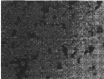 機(jī)器視覺滾動軸承表面缺陷檢測應(yīng)用分析插圖7