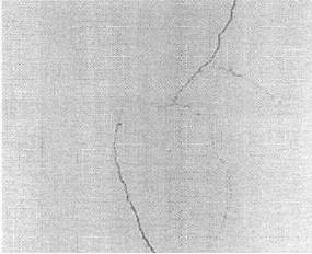 機(jī)器視覺滾動軸承表面缺陷檢測應(yīng)用分析插圖2