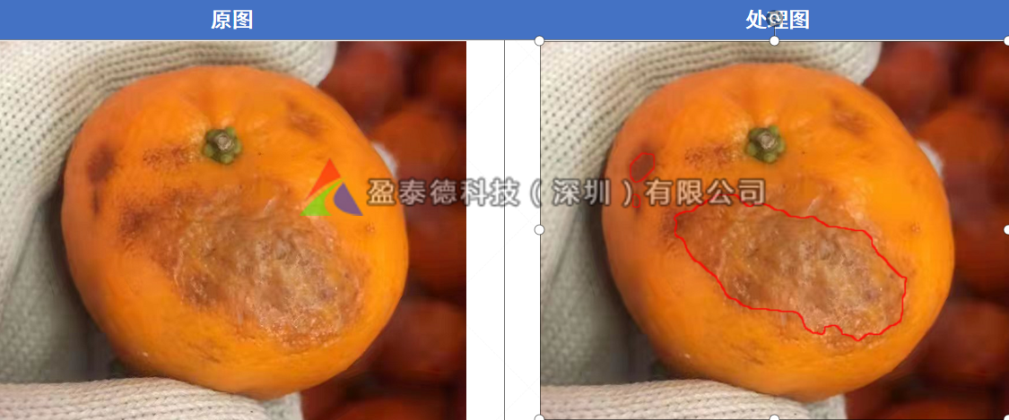 水果自動篩選機（水果不良品機器視覺檢測方案）插圖4