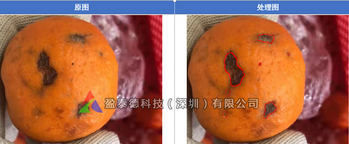 水果自動篩選機（水果不良品機器視覺檢測方案）插圖5