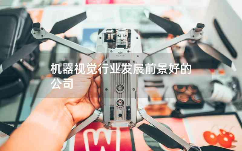 機(jī)器視覺行業(yè)發(fā)展前景好的公司