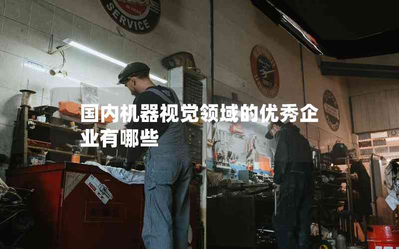 國內(nèi)機器視覺領(lǐng)域的優(yōu)秀企業(yè)有哪些
