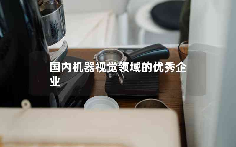 國內(nèi)機器視覺領(lǐng)域的優(yōu)秀企業(yè)