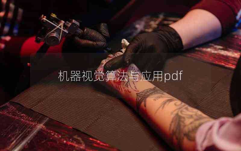 機器視覺算法與應(yīng)用pdf