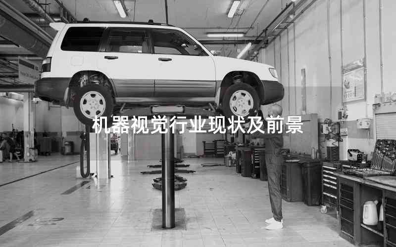 機(jī)器視覺(jué)行業(yè)現(xiàn)狀及前景