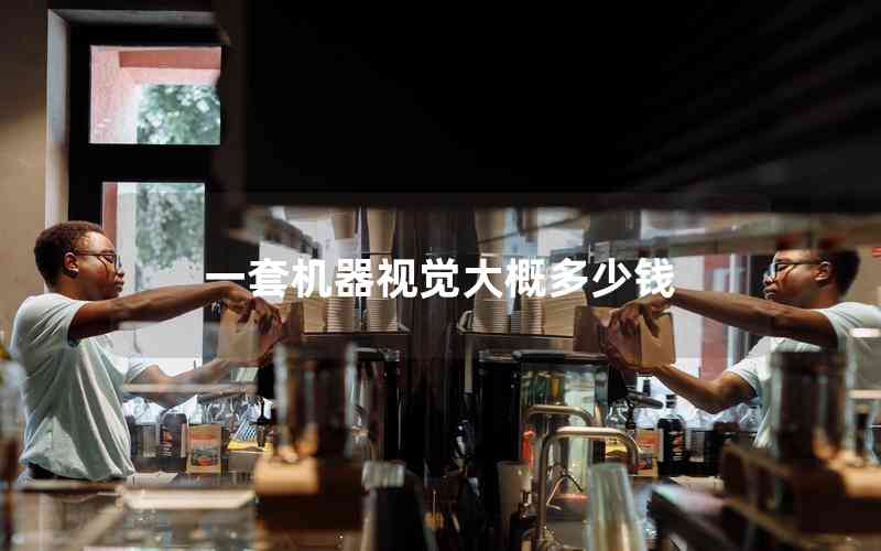 一套機器視覺大概多少錢