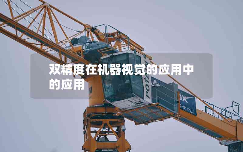 雙精度在機(jī)器視覺(jué)的應(yīng)用中的應(yīng)用