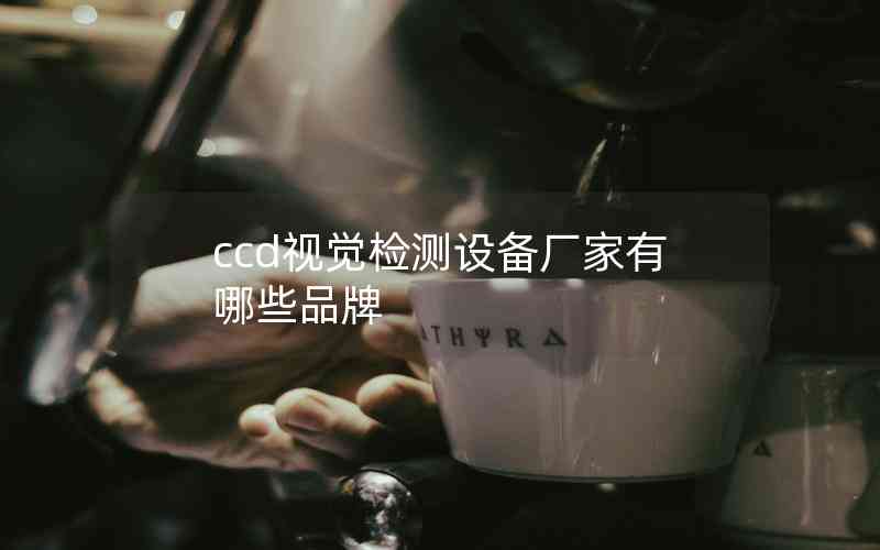 ccd視覺(jué)檢測(cè)設(shè)備廠(chǎng)家有哪些品牌