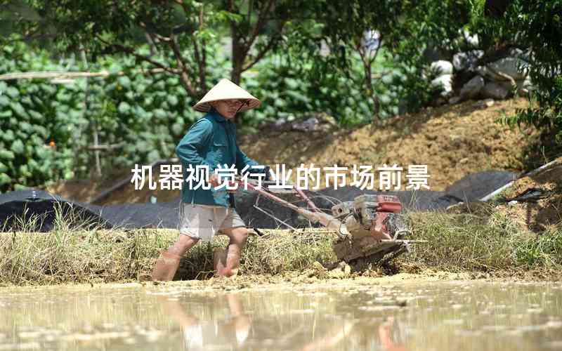 機(jī)器視覺(jué)行業(yè)的市場(chǎng)前景