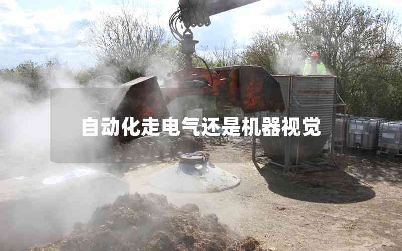 自動化走電氣還是機(jī)器視覺