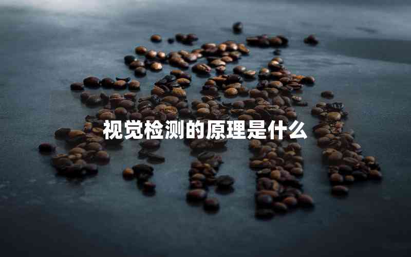 視覺檢測的原理是什么