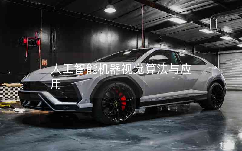 人工智能機器視覺算法與應(yīng)用