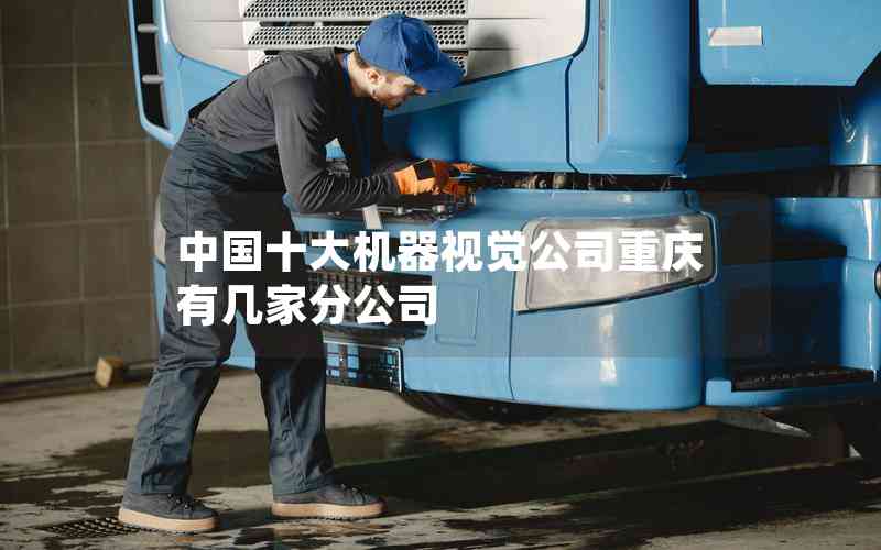 中國(guó)十大機(jī)器視覺(jué)公司重慶有幾家分公司
