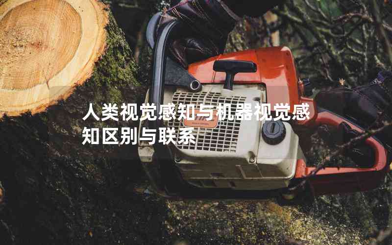 人類視覺感知與機器視覺感知區(qū)別與聯(lián)系