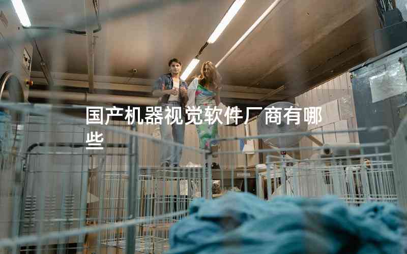 國產機器視覺軟件廠商有哪些