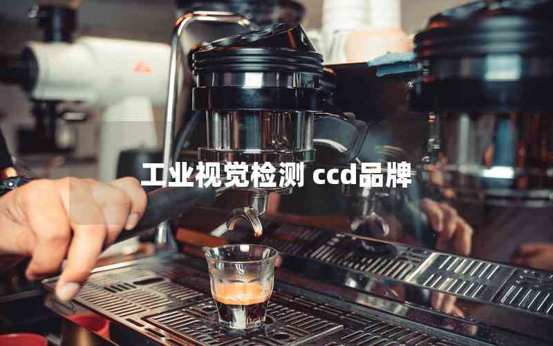 工業(yè)視覺(jué)檢測(cè) ccd品牌