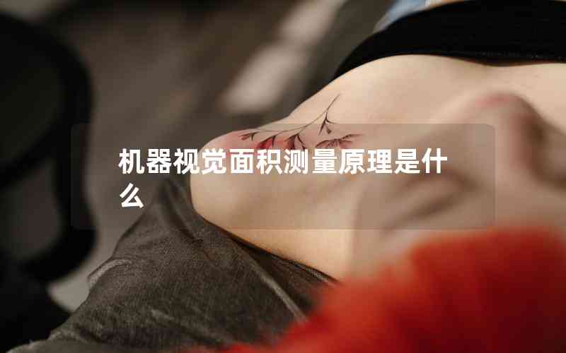 機(jī)器視覺面積測量原理是什么