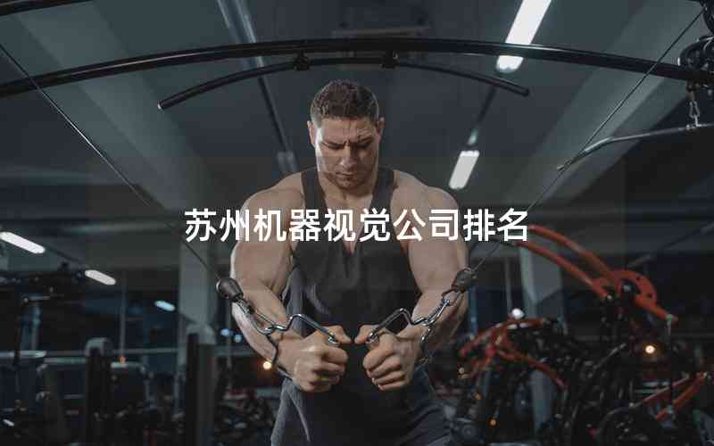蘇州機器視覺公司排名