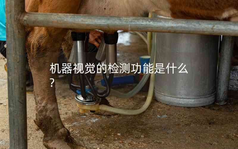 機(jī)器視覺的檢測功能是什么?