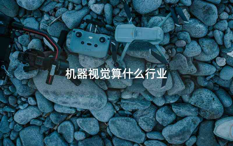 機(jī)器視覺(jué)算什么行業(yè)