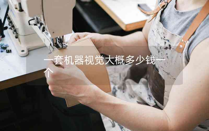 一套機器視覺大概多少錢一個