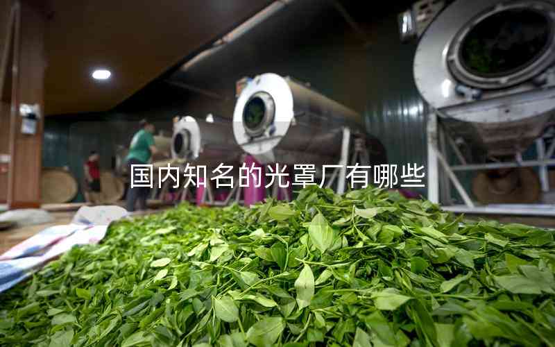 國內(nèi)知名的光罩廠有哪些