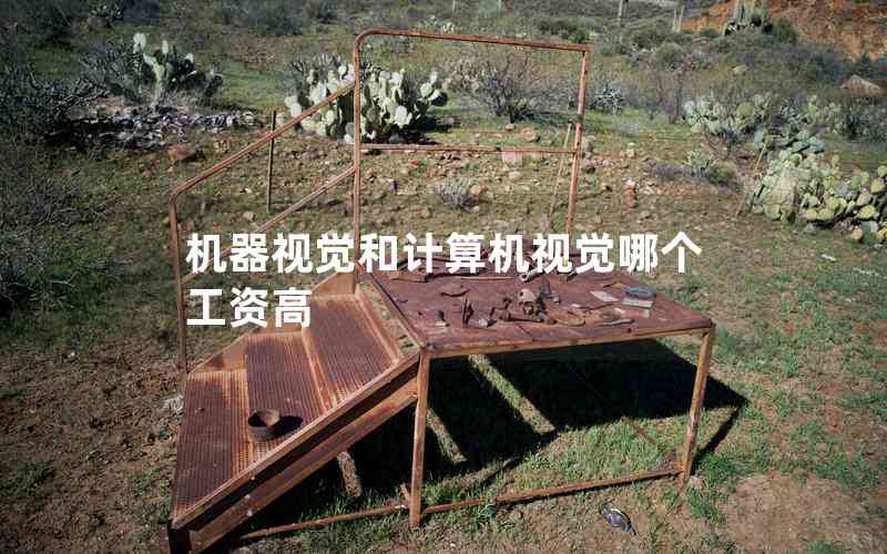 機(jī)器視覺(jué)和計(jì)算機(jī)視覺(jué)哪個(gè)工資高