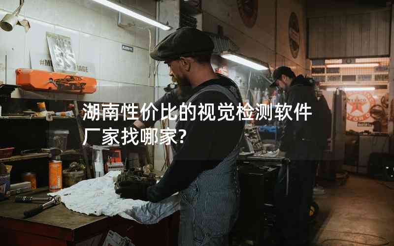 湖南性價(jià)比的視覺(jué)檢測(cè)軟件廠家找哪家?