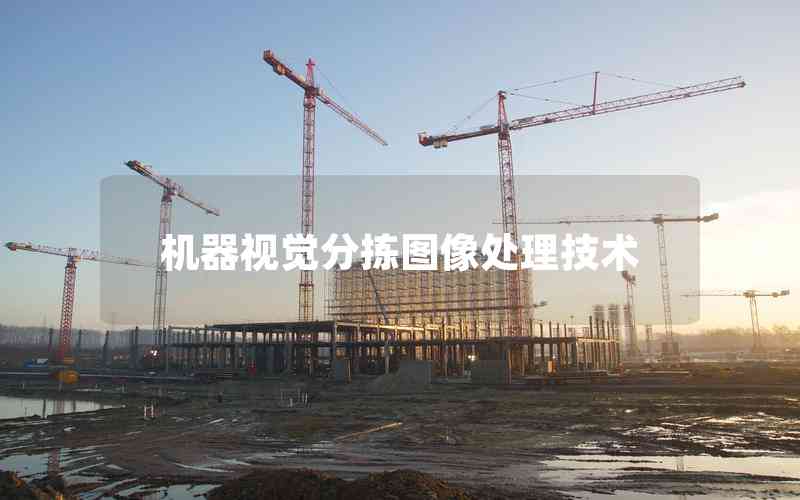 機器視覺分揀圖像處理技術