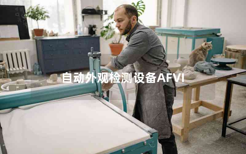 自動外觀檢測設備AFVI