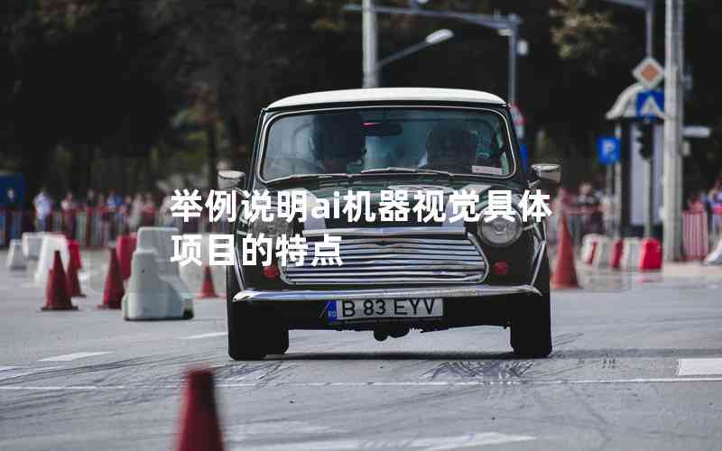 舉例說明ai機(jī)器視覺具體項(xiàng)目的特點(diǎn)