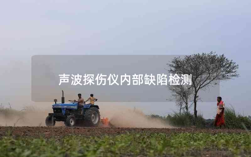 聲波探傷儀內(nèi)部缺陷檢測(cè)
