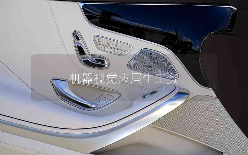 機器視覺應屆生工資