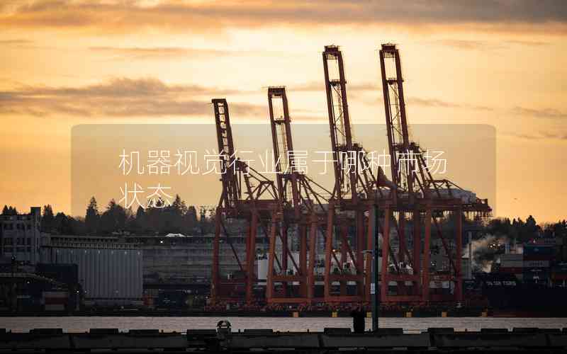 機(jī)器視覺行業(yè)屬于哪種市場狀態(tài)