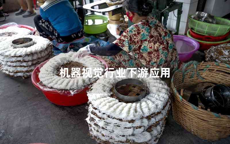 機器視覺行業(yè)下游應(yīng)用