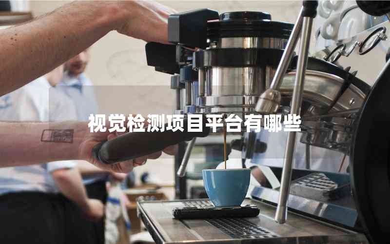 視覺檢測項目平臺有哪些