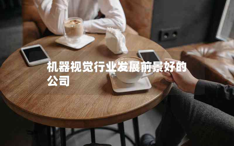 機器視覺行業(yè)發(fā)展前景好的公司