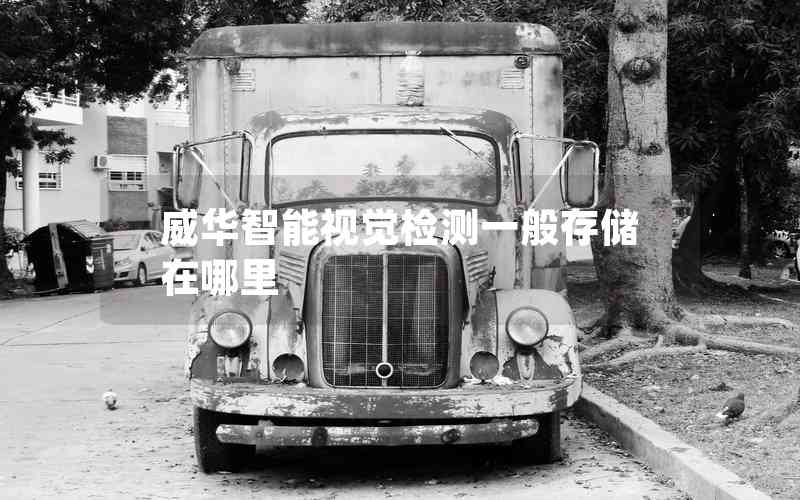 威華智能視覺(jué)檢測(cè)一般存儲(chǔ)在哪里