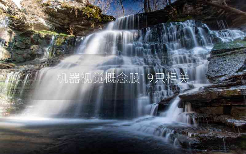 機(jī)器視覺概念股19只相關(guān)