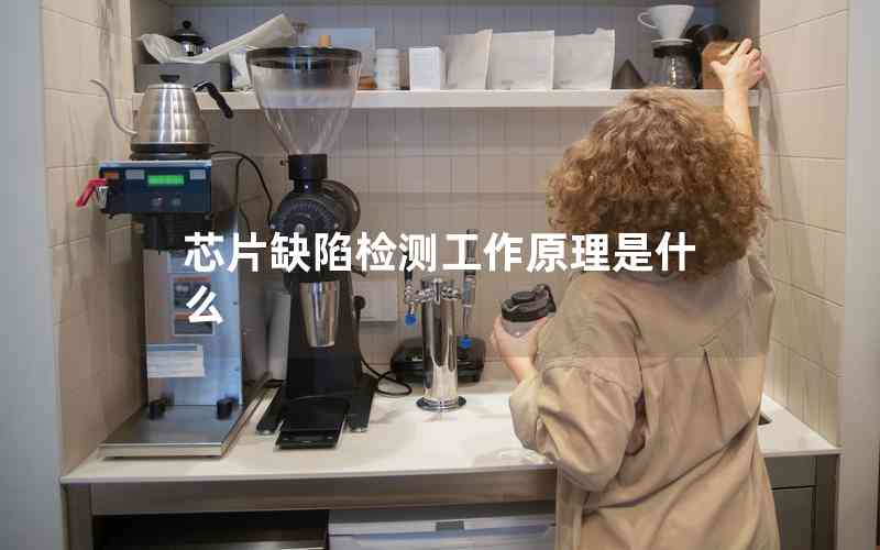 芯片缺陷檢測(cè)工作原理是什么