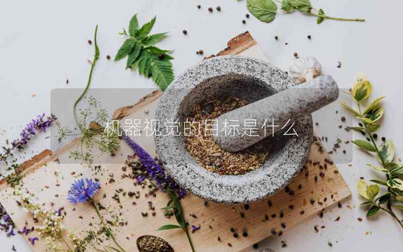 機(jī)器視覺的目標(biāo)是什么