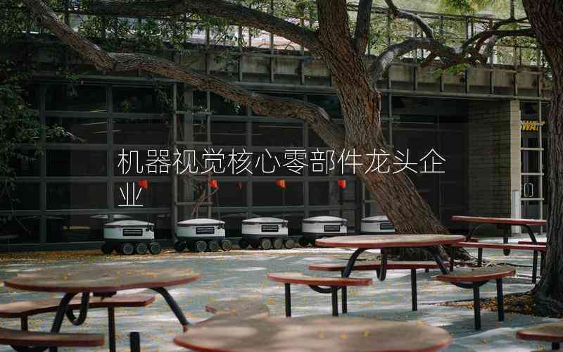 機器視覺核心零部件龍頭企業(yè)
