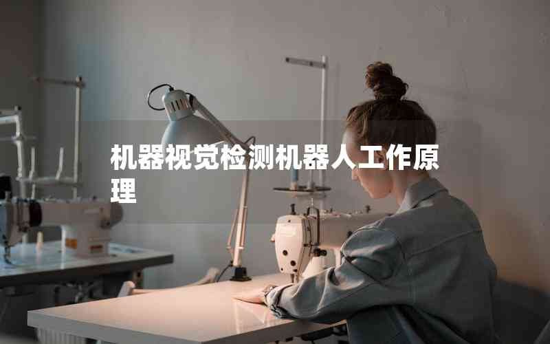 機器視覺檢測機器人工作原理