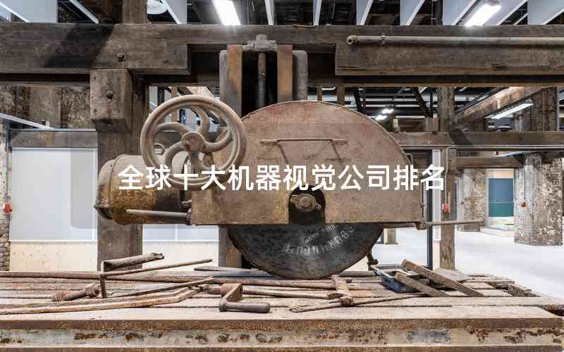 全球十大機(jī)器視覺公司排名