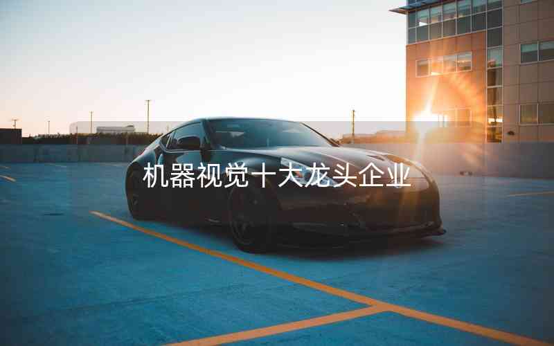 機(jī)器視覺(jué)十大龍頭企業(yè)