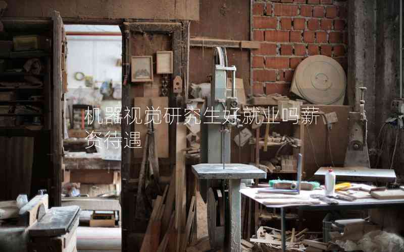 機(jī)器視覺(jué)研究生好就業(yè)嗎薪資待遇