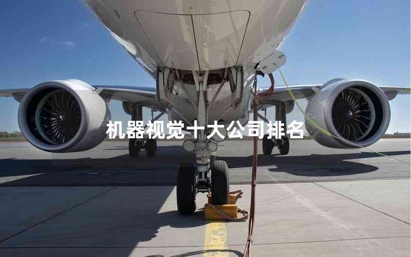 機器視覺十大公司排名
