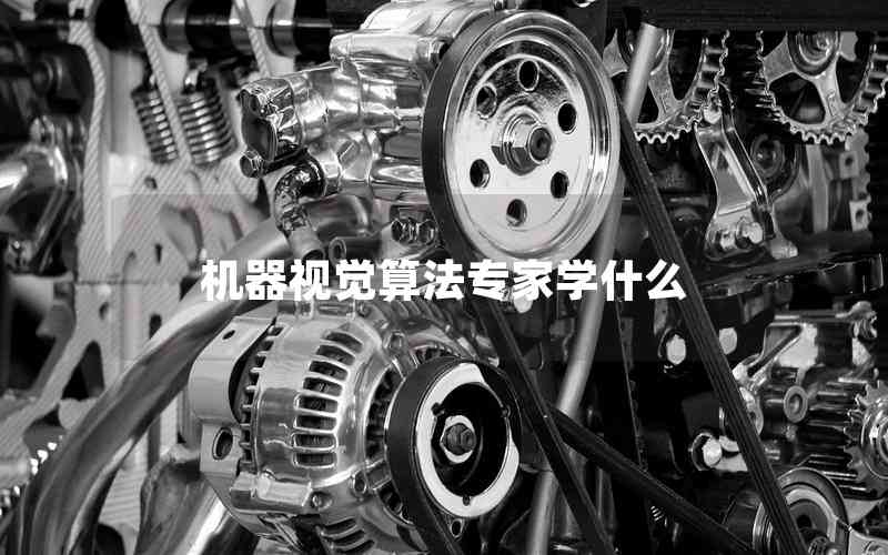 機器視覺算法專家學(xué)什么