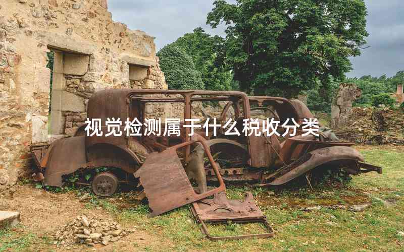 視覺檢測屬于什么稅收分類