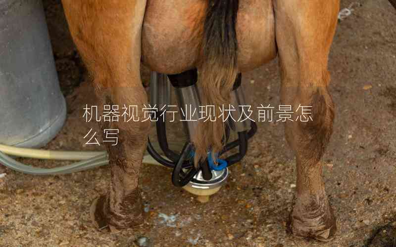 機(jī)器視覺(jué)行業(yè)現(xiàn)狀及前景怎么寫(xiě)